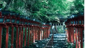 貴船神社 （きふねじんじゃ）【恋愛成就・浄化】