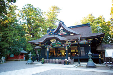 「千葉」最強の神社パワースポット5選！浄化や金運・恋愛運アップも！