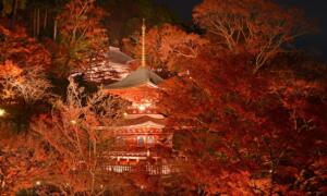 勝尾寺（かつおうじ）【浄化・勝負運・仕事運】