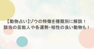 【動物占い】ゾウの特徴を種類別に解説！該当の芸能人や各運勢・相性の良い動物も！
