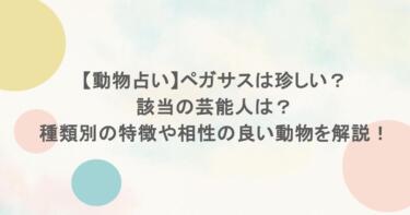 【動物占い】ペガサスは珍しい？該当の芸能人は？種類別の特徴や相性の良い動物を解説！