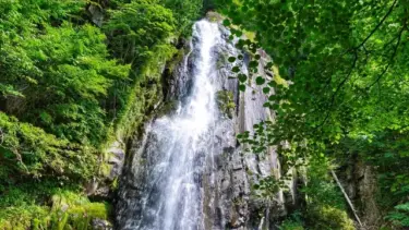 「岐阜」最強のパワースポット5選！神社から自然豊かな穴場も紹介