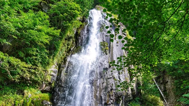 「岐阜」最強のパワースポット5選！神社から自然豊かな穴場も紹介