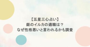 【五星三心占い】銀のイルカの適職は？なぜ性格悪いと言われるかも調査