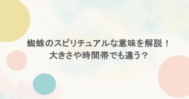 蜘蛛のスピリチュアルな意味を解説！大きさや時間帯でも違う？