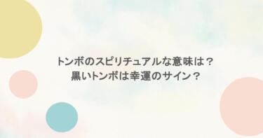 トンボのスピリチュアルな意味は?黒いトンボは幸運のサイン?