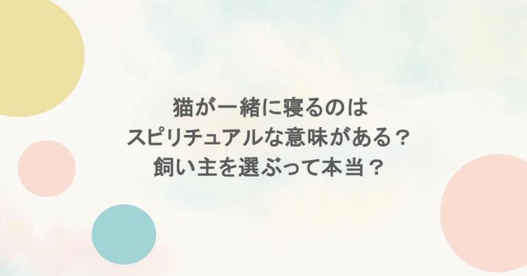 猫が一緒に寝るのはスピリチュアルな意味がある?飼い主を選ぶって本当?