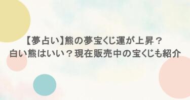 【夢占い】熊の夢宝くじ運が上昇？白い熊はいい？現在販売中の宝くじも紹介