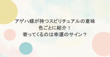アゲハ蝶が持つスピリチュアルの意味を色ごとに紹介！寄ってくるのは幸運のサイン？