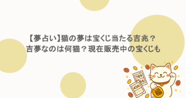 【夢占い】猫の夢は宝くじ当たる吉兆？吉夢なのは何猫？現在販売中の宝くじも